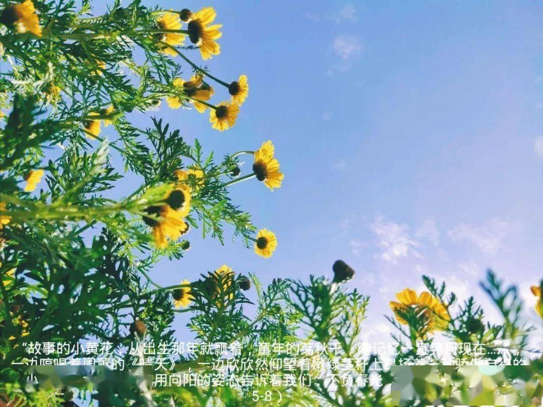 "万物向阳 爱有力量"摄影大赛(含投票)