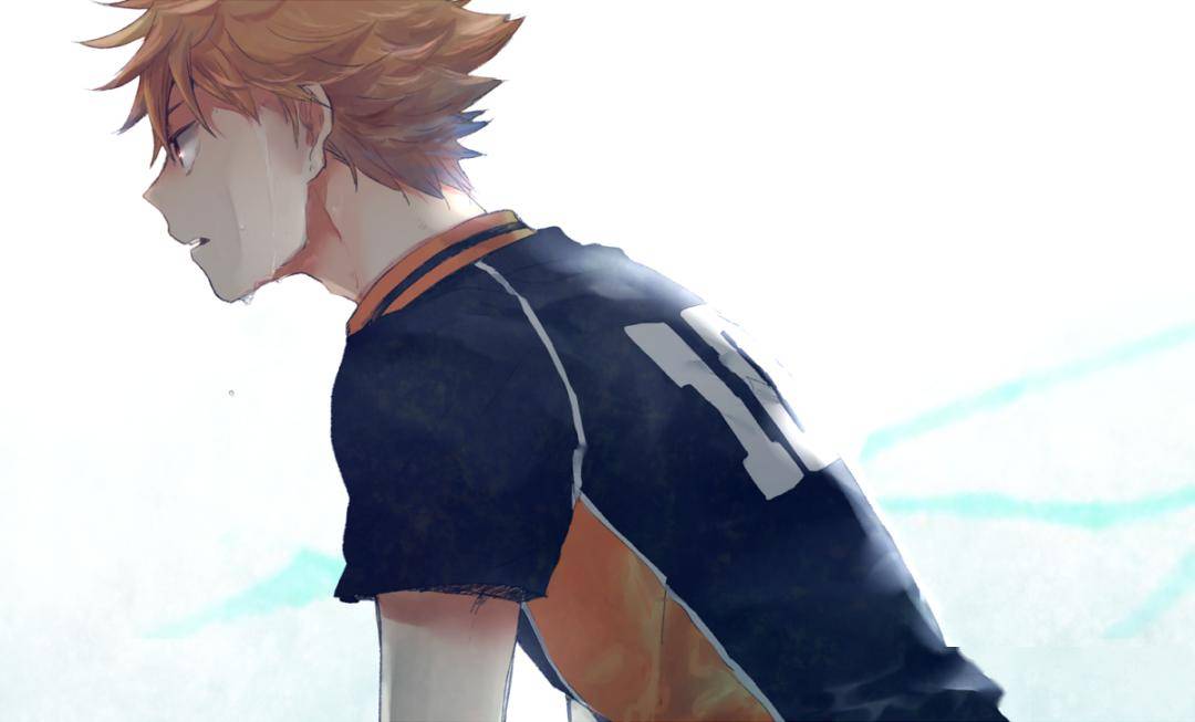 p站高人气插画wuhu乌野小巨人起飞