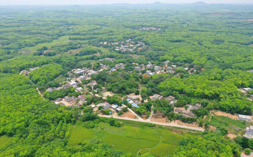 走进儋州市大成镇调南村:旧貌换新颜!