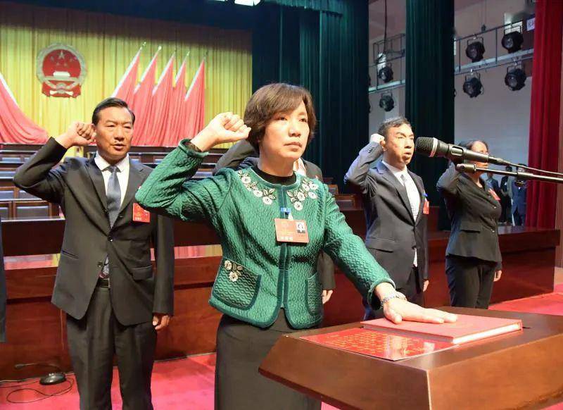 市九届人大五次会议举行第二次全体会议 王梅芬当选人大主任,严启红