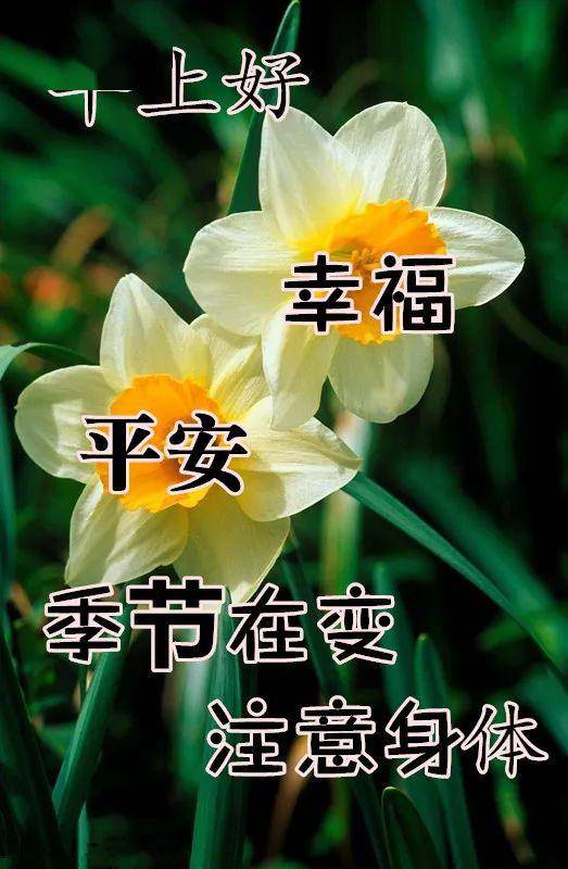 5月30日最漂亮早上好動態表情圖片大全,早晨好動圖美圖大全