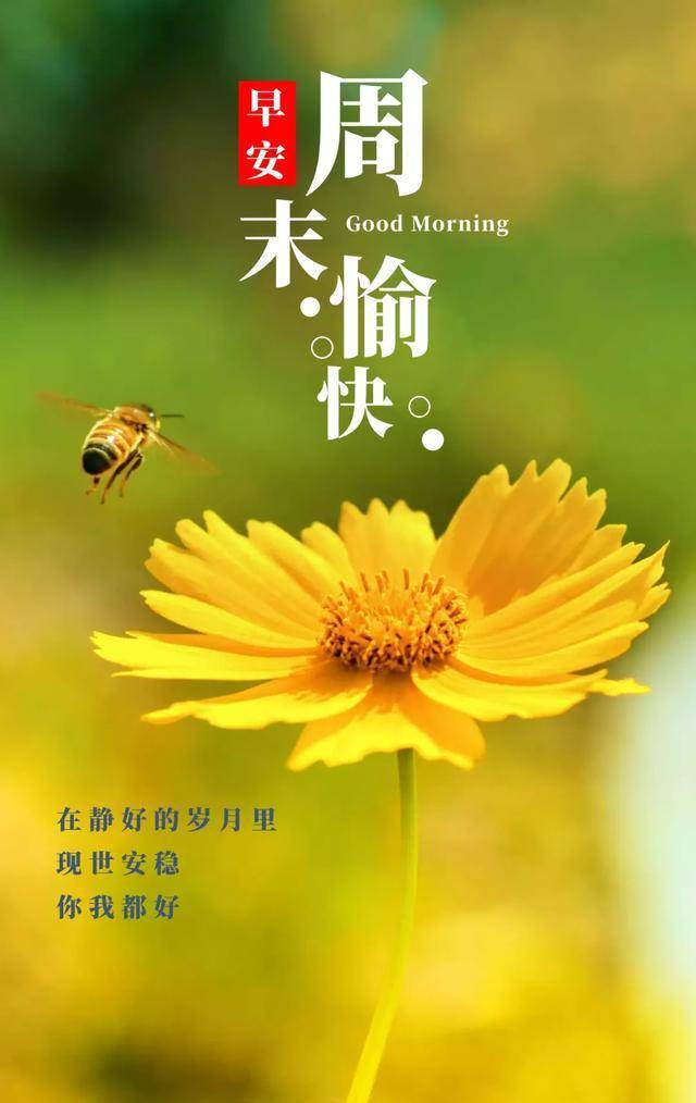 现世安稳,你我都好,早安朋友;周末愉快