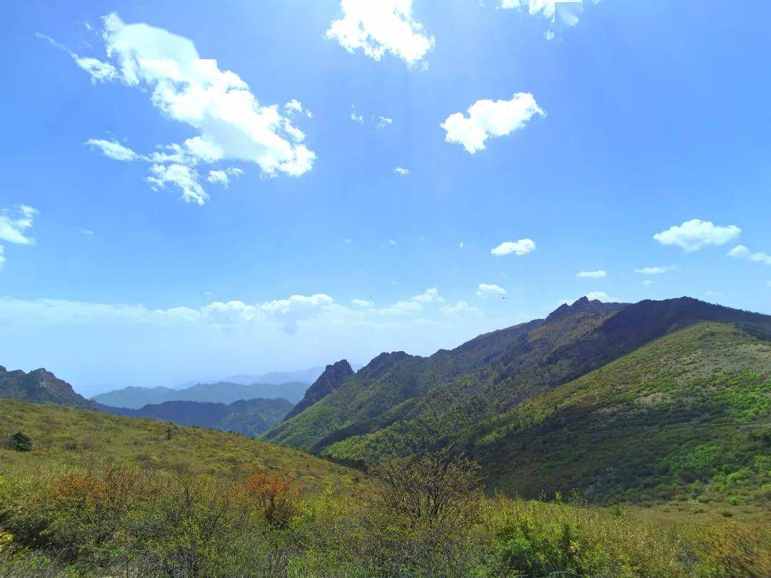 【秦嶺十二印象丨分水嶺高山草甸】6月7日丨東佛溝穿越東坪溝,盡覽