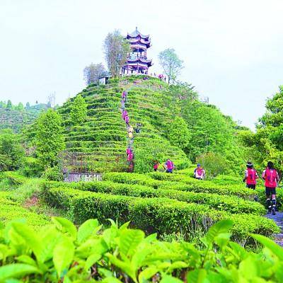 閉建輝攝浦北縣泉水鎮舊州村光伏發電集體經濟項目.