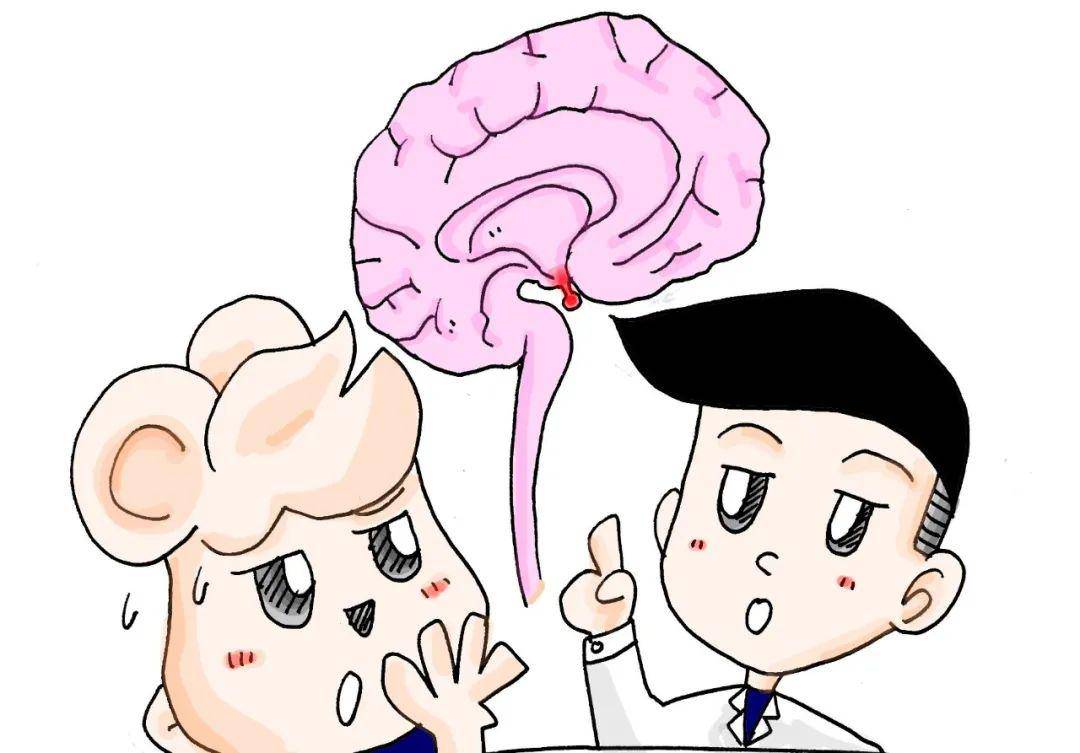 南楠说科普|垂体瘤是个什么瘤?