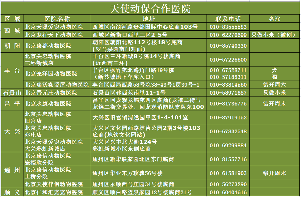 1480绝育流浪狗_动物医院
