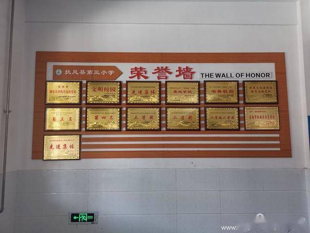 扶风三小的荣誉勋章.
