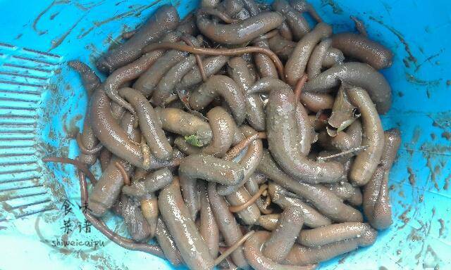 福建重口味小吃它的食材是虫子本地人爱吃外地人不敢碰