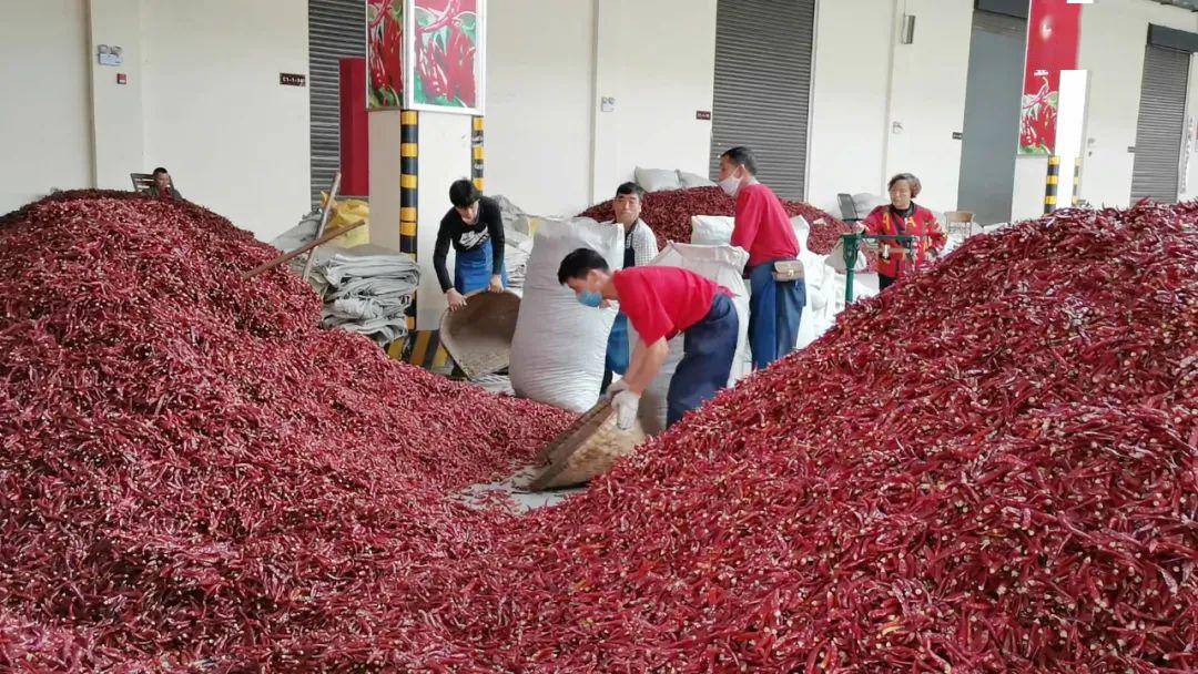 虾子辣椒市场图片