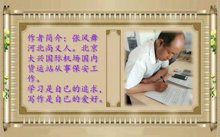 观赏月季花海张凤舞