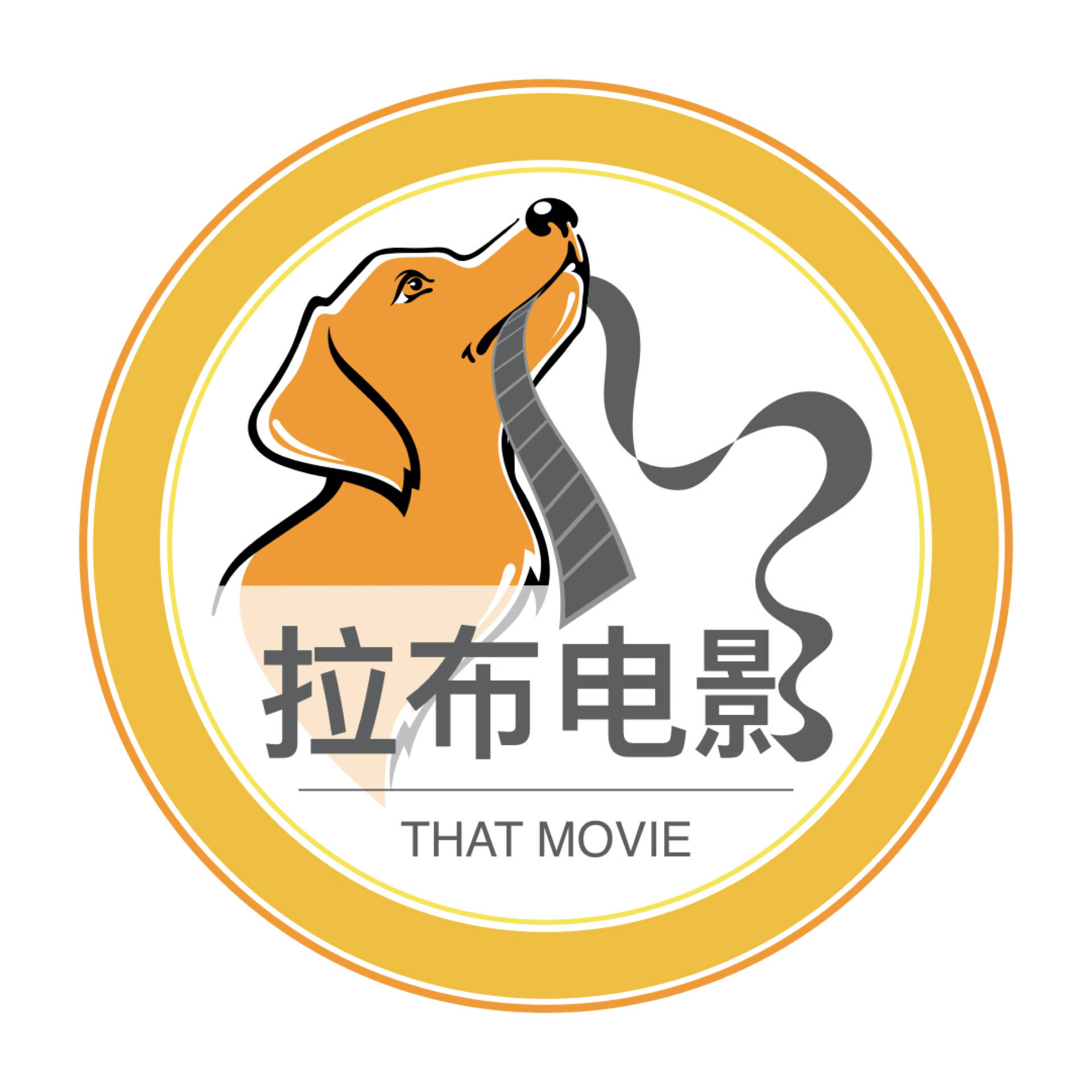 拉布拉多2岁以后是天使?你太天真了《马利和我》幕后冷知识!