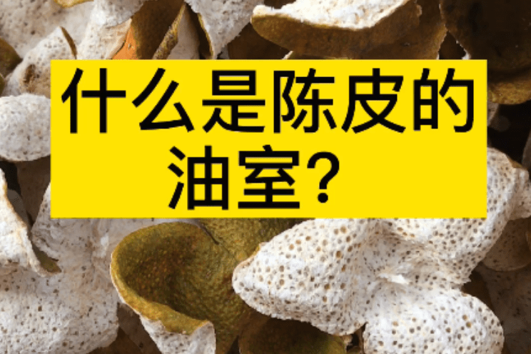 什么是新会陈皮的油室