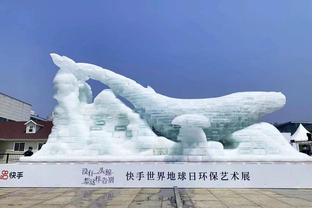 巨型鲸鱼冰雕亮相岛城倡导保护海洋环境