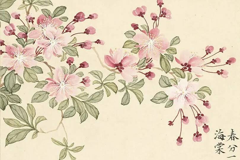 域鉴古玩】青花描金花卉纹盘鉴定结果_青花描金花卉纹盘真假鉴别