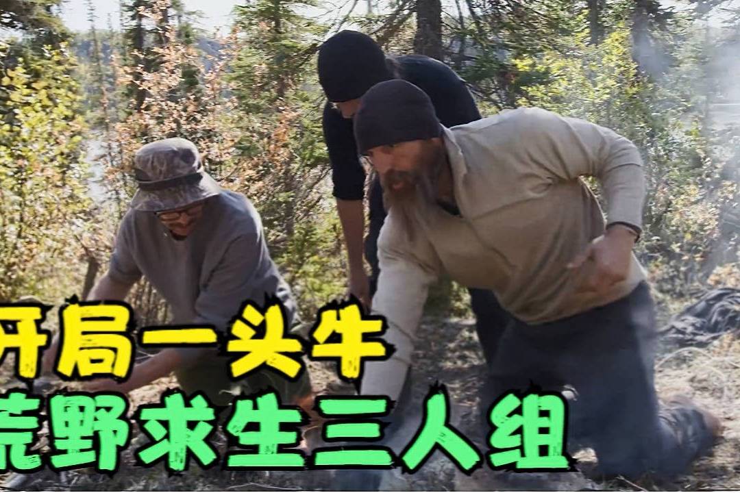 荒野独居三人组开局一头牛空手挑战黑熊