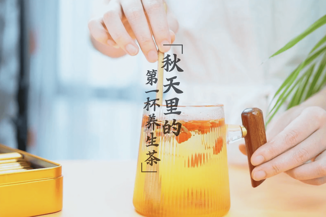 九吉公秋天里的第一杯养生茶