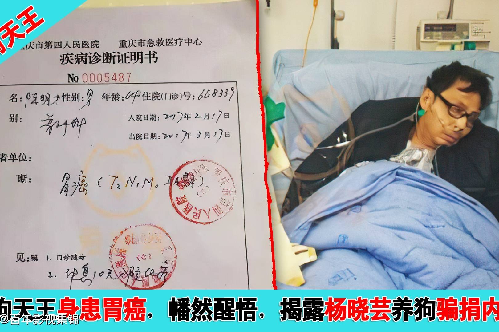 爱狗人士互撕陈明才患癌之后揭发杨晓芸骗捐