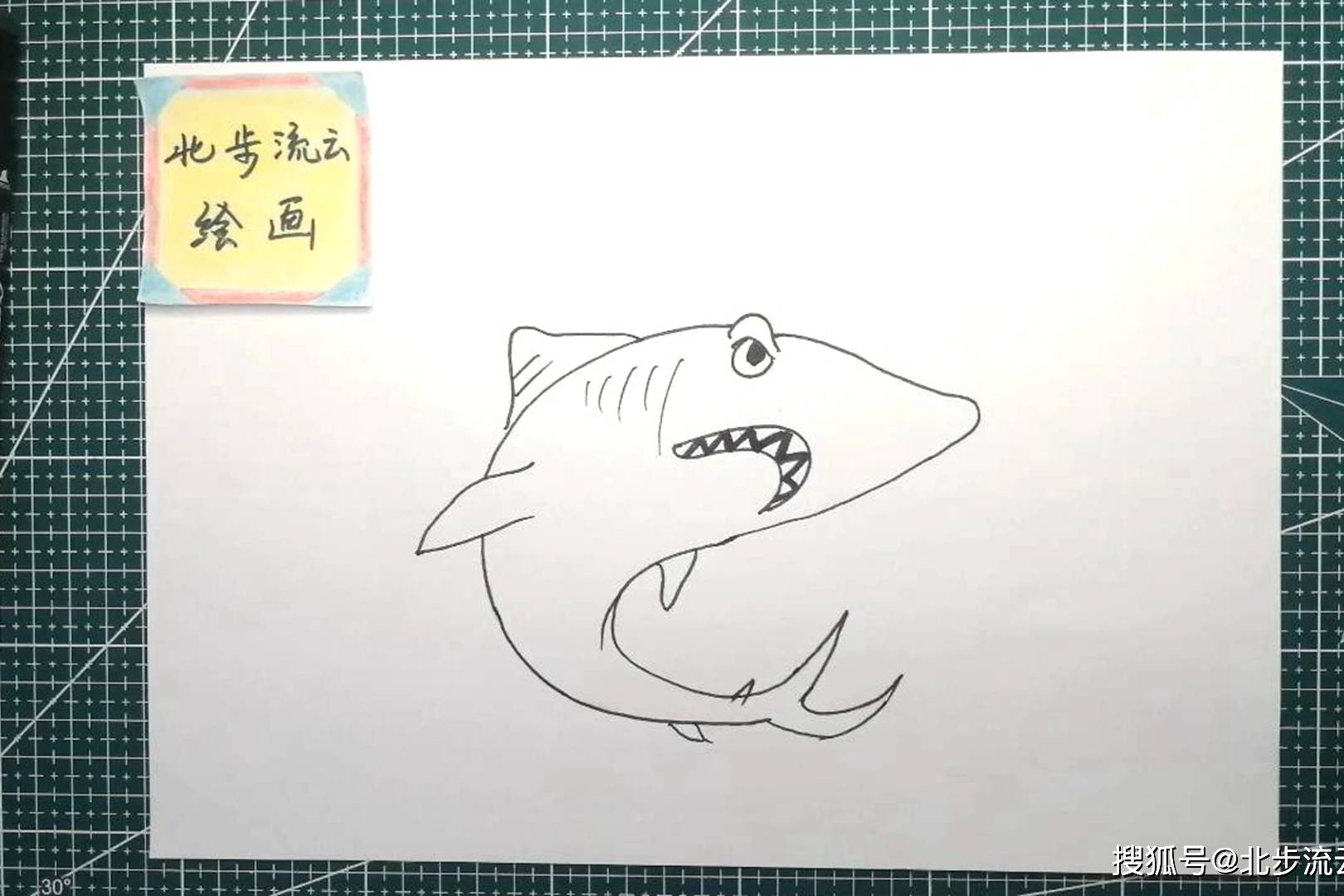 幼儿学画鲨鱼简笔画这样画简单又有趣儿童简笔画教程