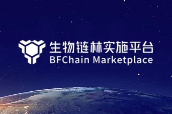 生物链林bfchain的个人展示页