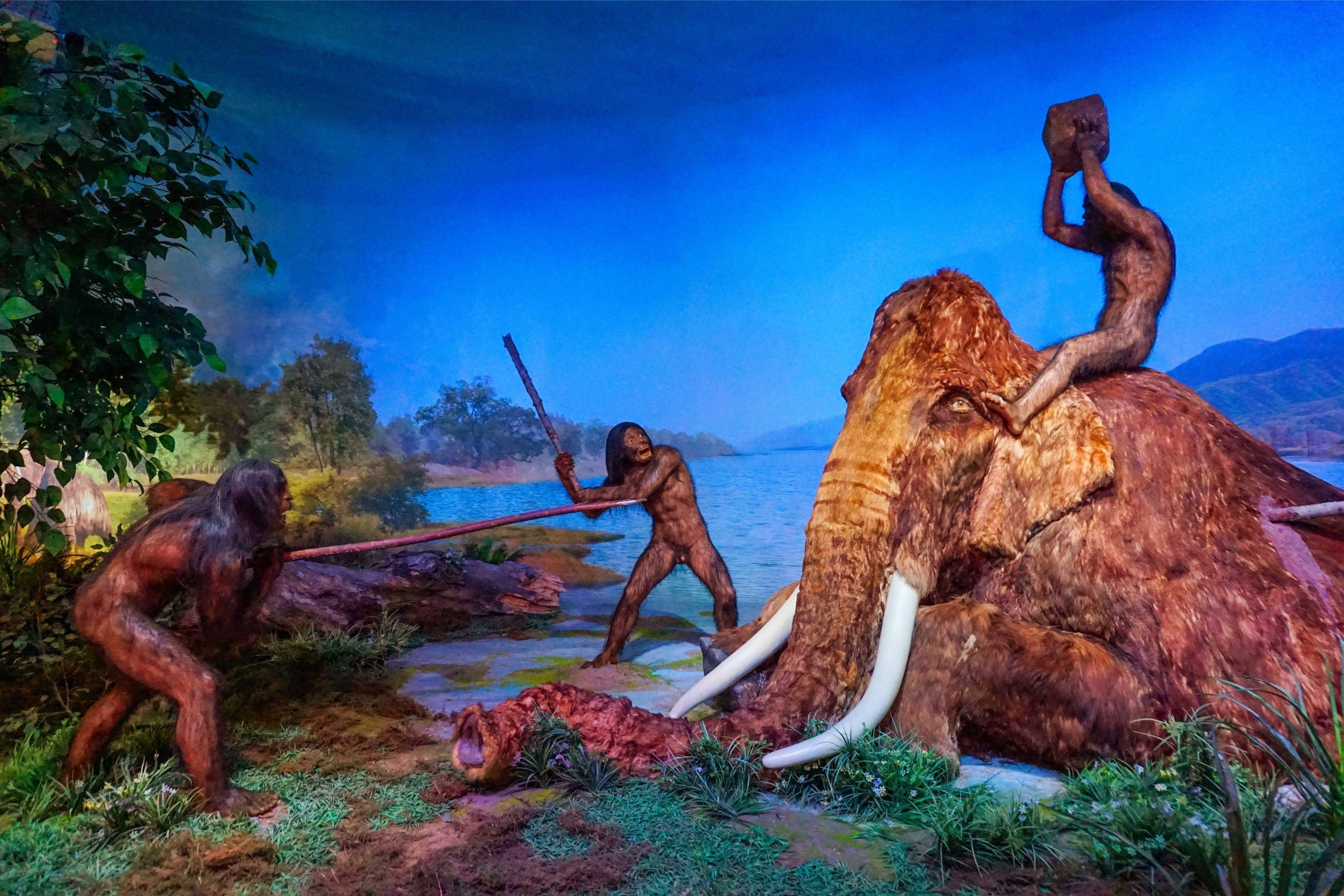 “动物”研究发现，古人类作为顶端捕食者已有200万年之久