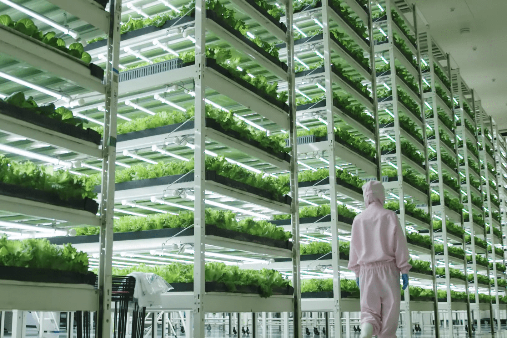 植物工厂丨位于东京的垂直叶菜工厂