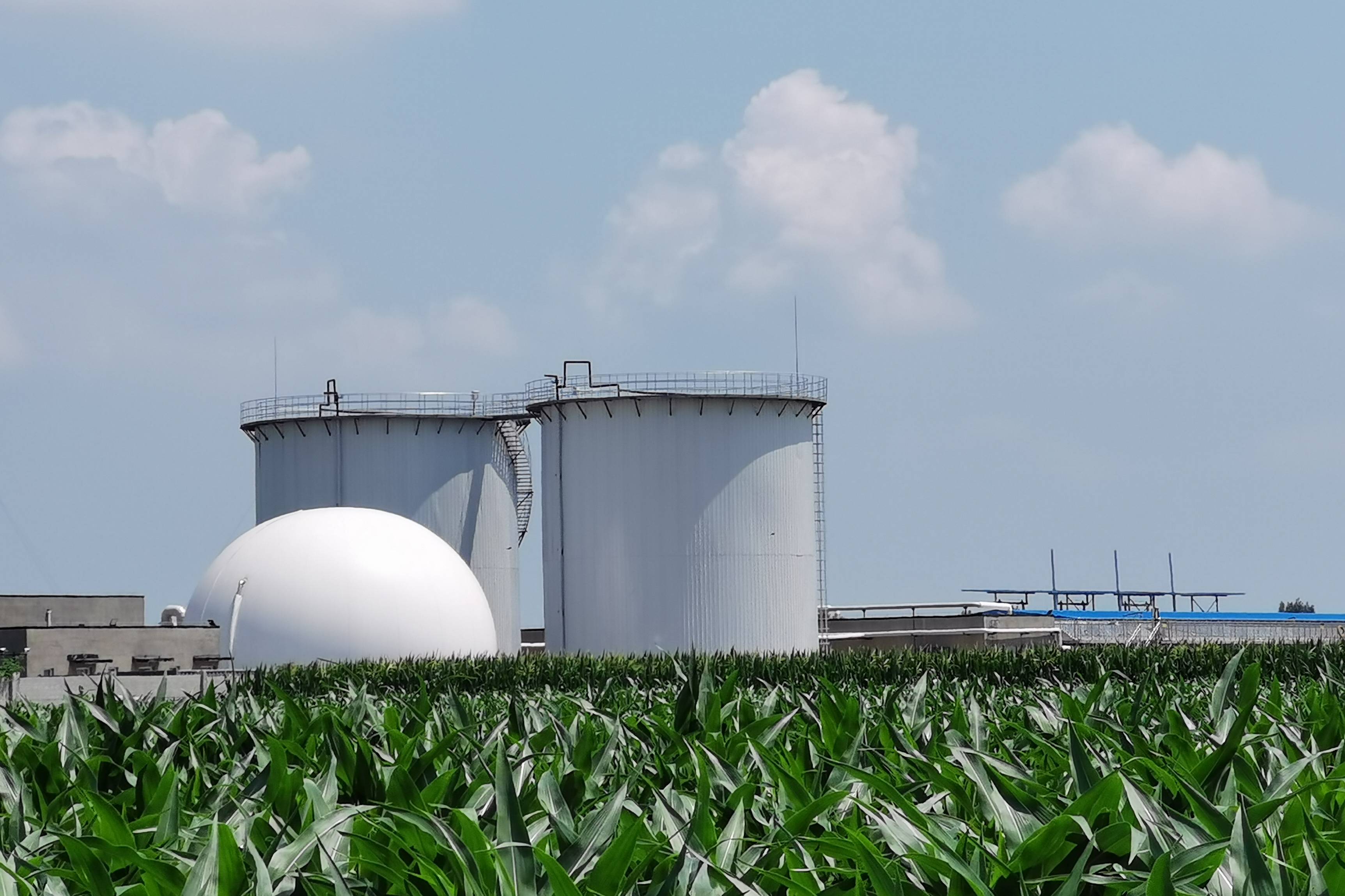 猪场污水处理整县推进面源污染粪污处理达标排放沼气工程