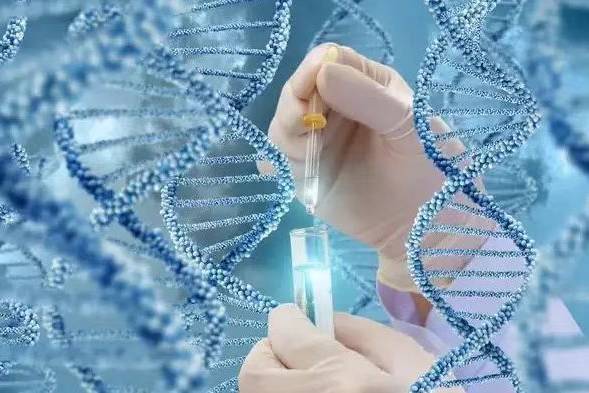 智云控生物样本库信息管理平台(鏅轰簯鐢熺墿绉戞妧鏈夐檺鍏徃)