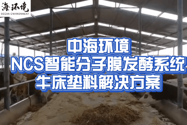 牛粪发酵牛床垫料奶牛发酵床牛粪处理解决方案