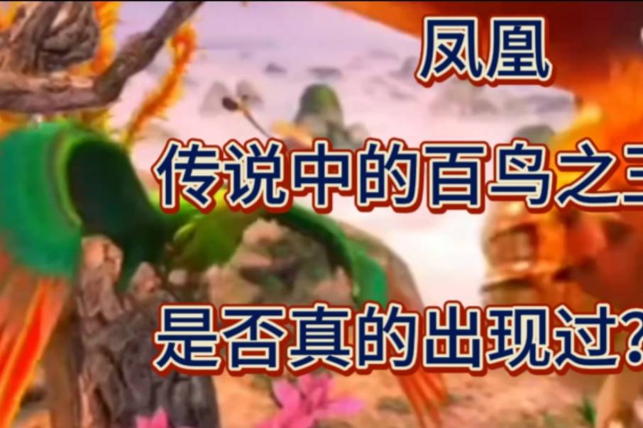 凤凰古代传说中的百鸟之王是否真的出现过