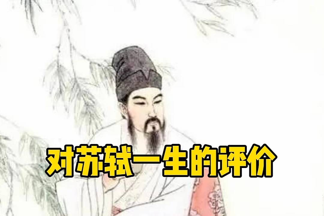 小伙对苏轼有怎么样的评价我们听听他怎么说
