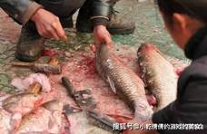 市面上“最坑”的5种鱼，多数人经常买，鱼贩子：我从不给家人吃