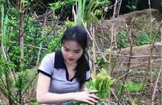 新民农商行股东关系杂：股权违法违规 实控人持