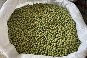 延安市城区燃煤储备量足温暖过冬"么麻达" 2020