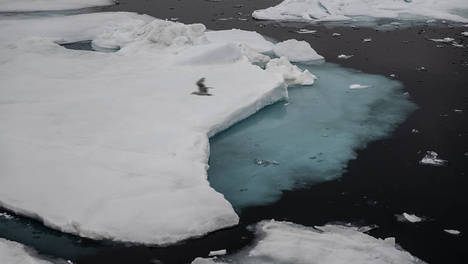 北极经历120多年来最暖夏季