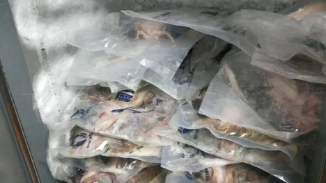 起底从垃圾桶捞餐食“半天妖烤鱼”门店 该公司