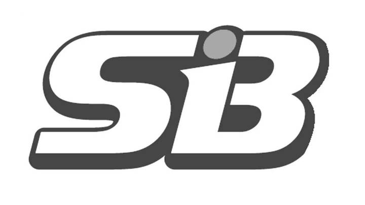sb是骂人的意思吗？