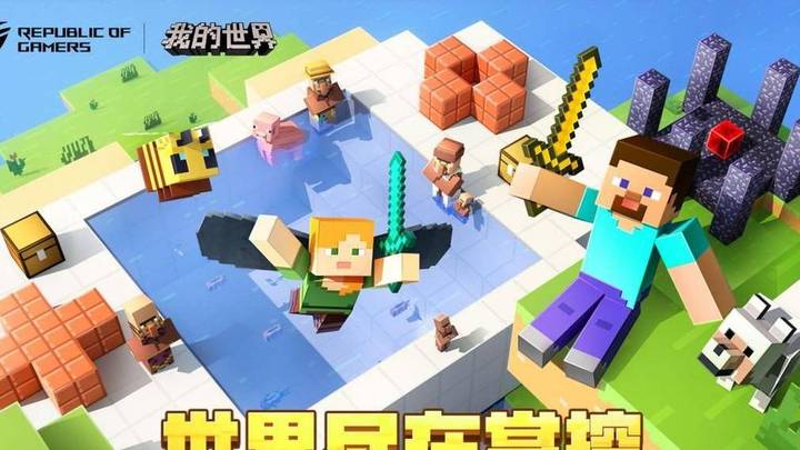你玩过《我的世界》吗？