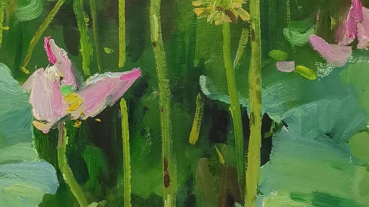 伍盛画荷作品，你喜欢吗？