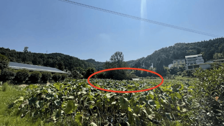 企业被拆村民就业难，你觉得原因是什么？