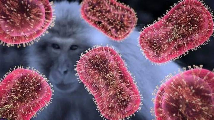 一周内两地确诊4例猴痘，是否需要过度担心？