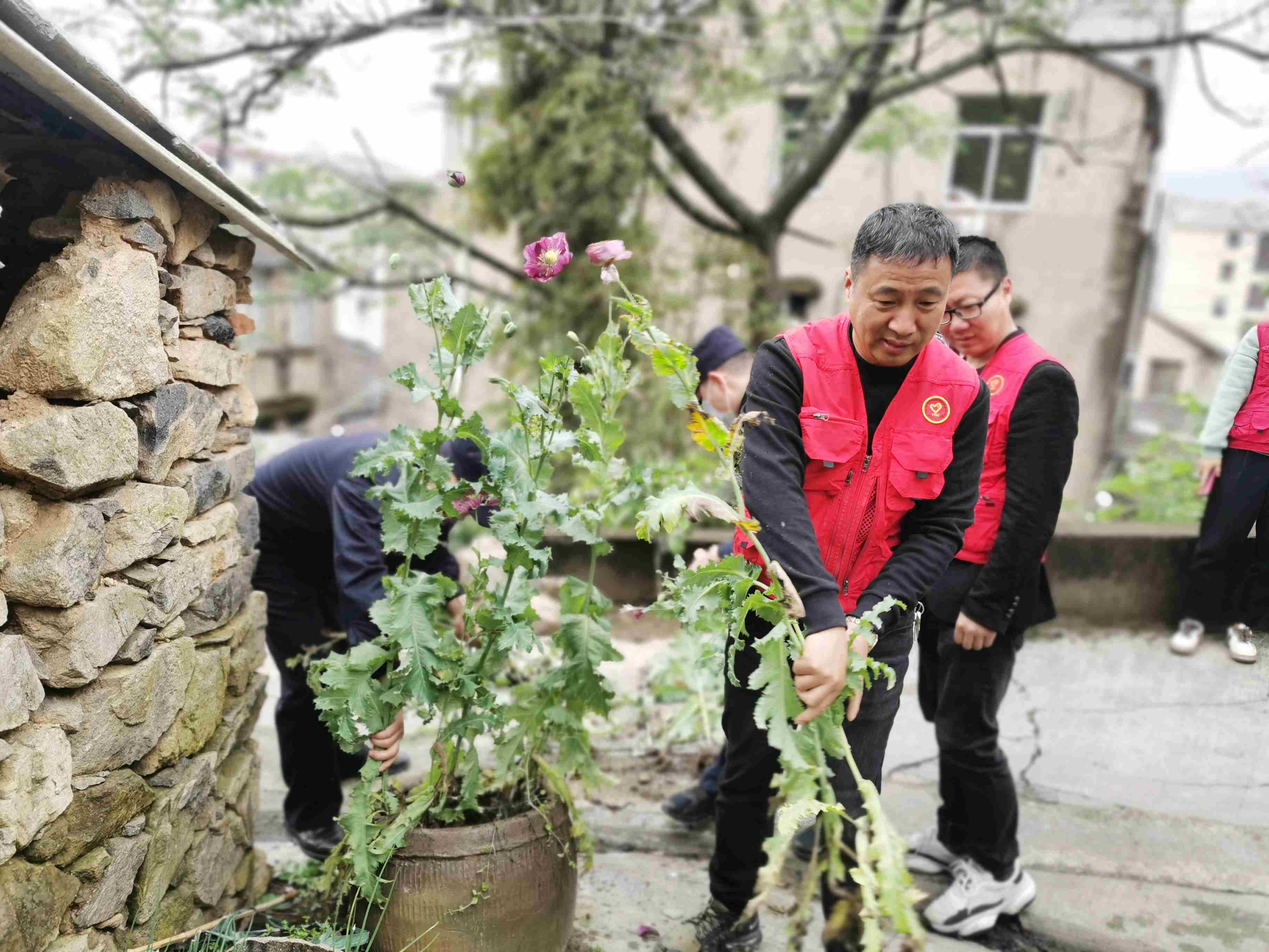 "无人机"助力禁种铲毒