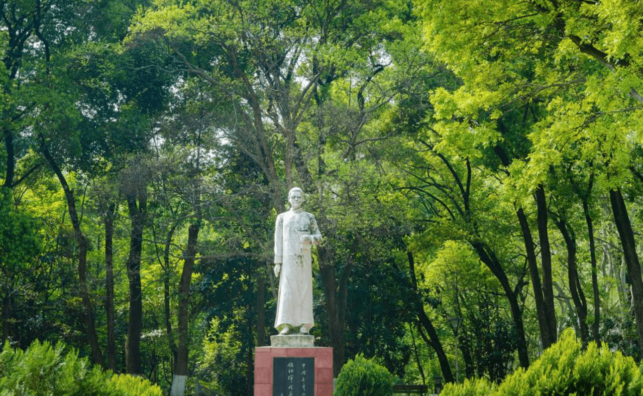 探秘历史?华中师范大学这个王牌专业满足你!_文化