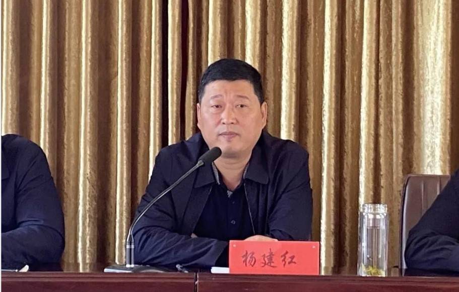 王浩屯镇党委书记杨建红