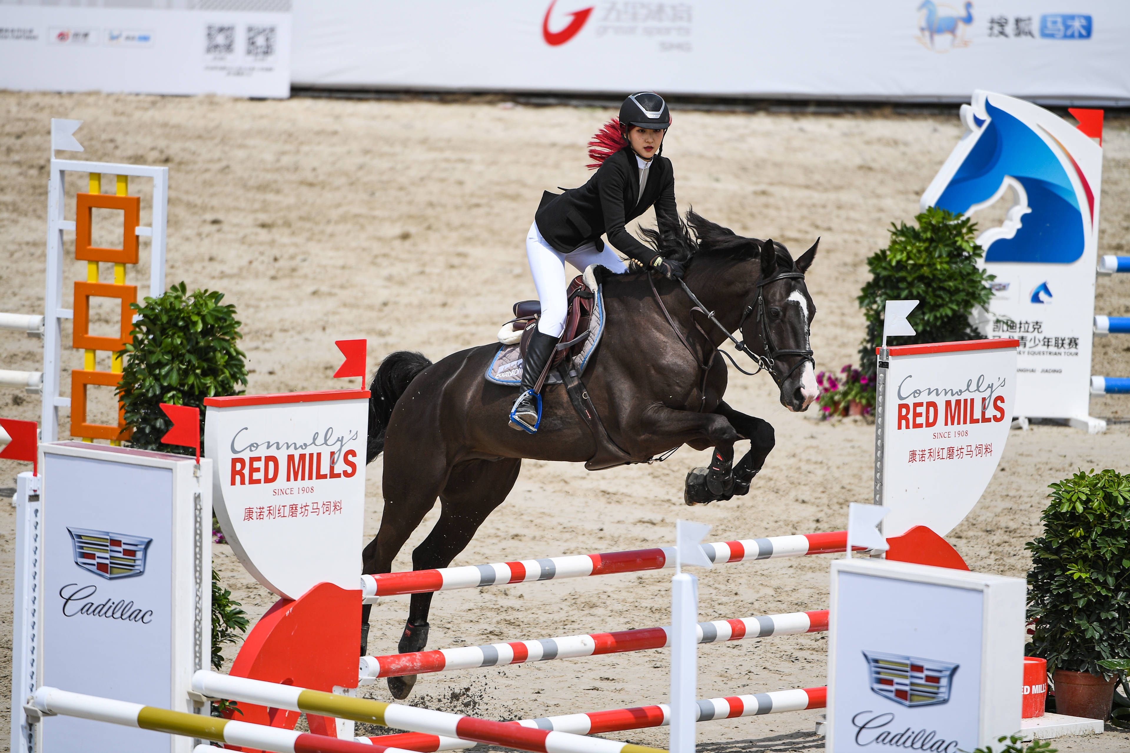 联赛在升级改造后的上海全进马术俱乐部继续展开第二个比赛日的争夺