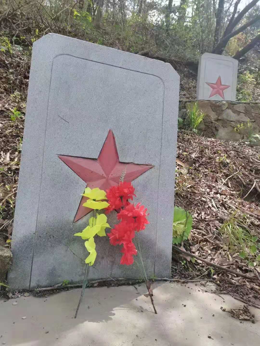 大别山啊映山红