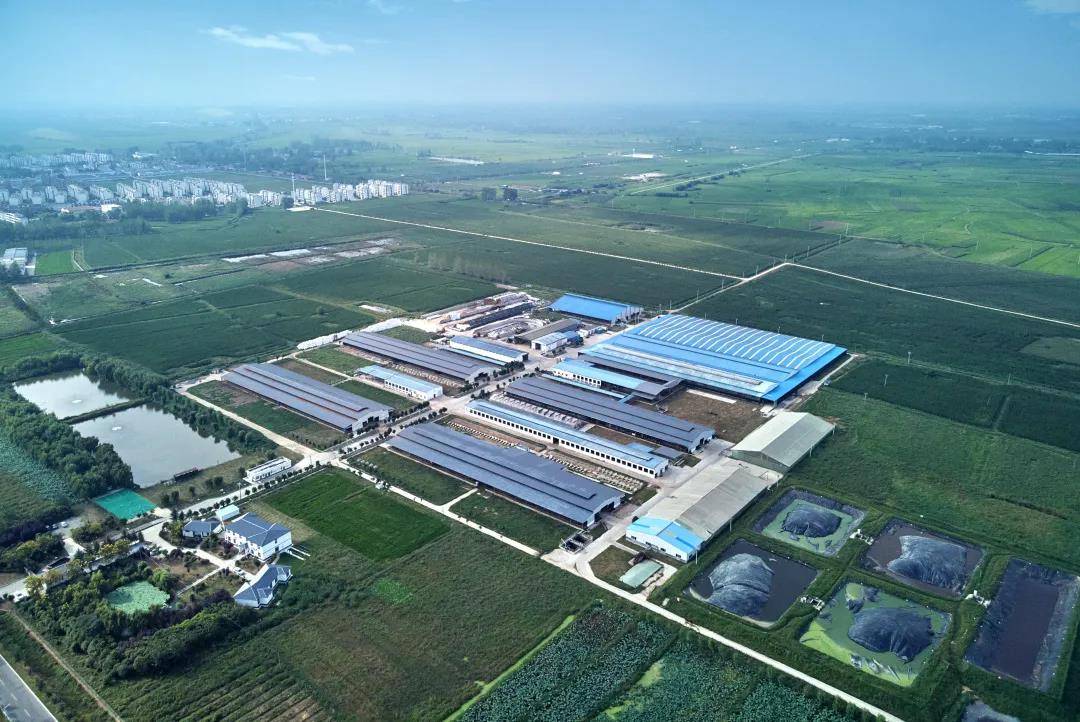 卫岗乳业荣膺国家奶业科技创新联盟双项大奖!