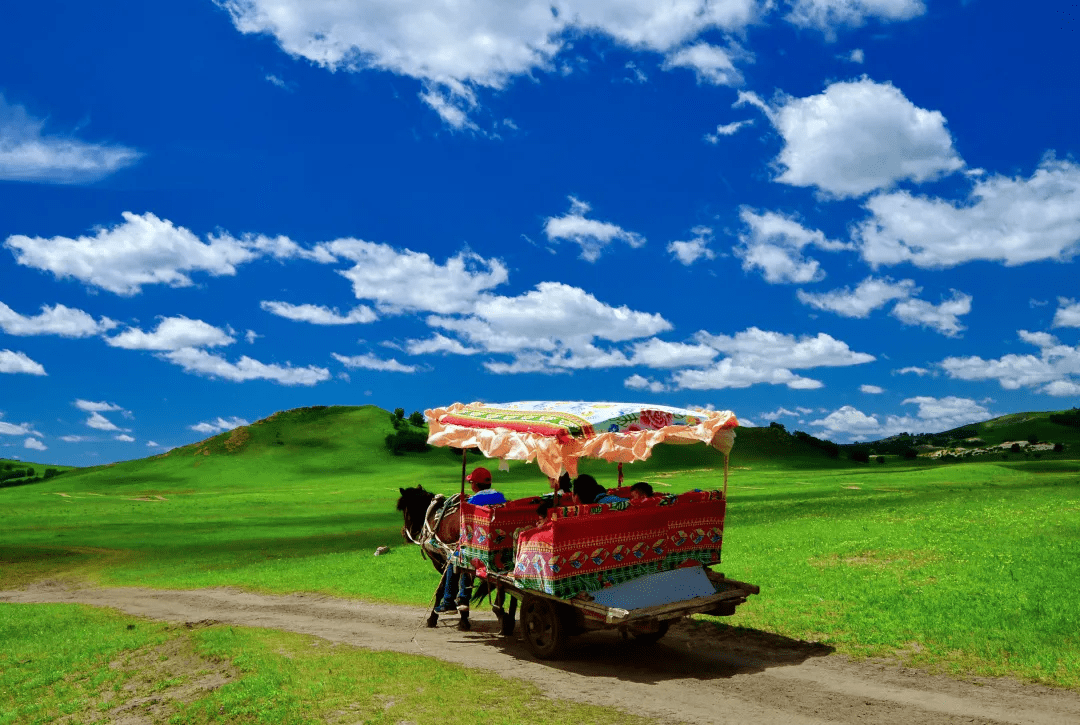 八天游北疆大环线，你想看的风景都在这里