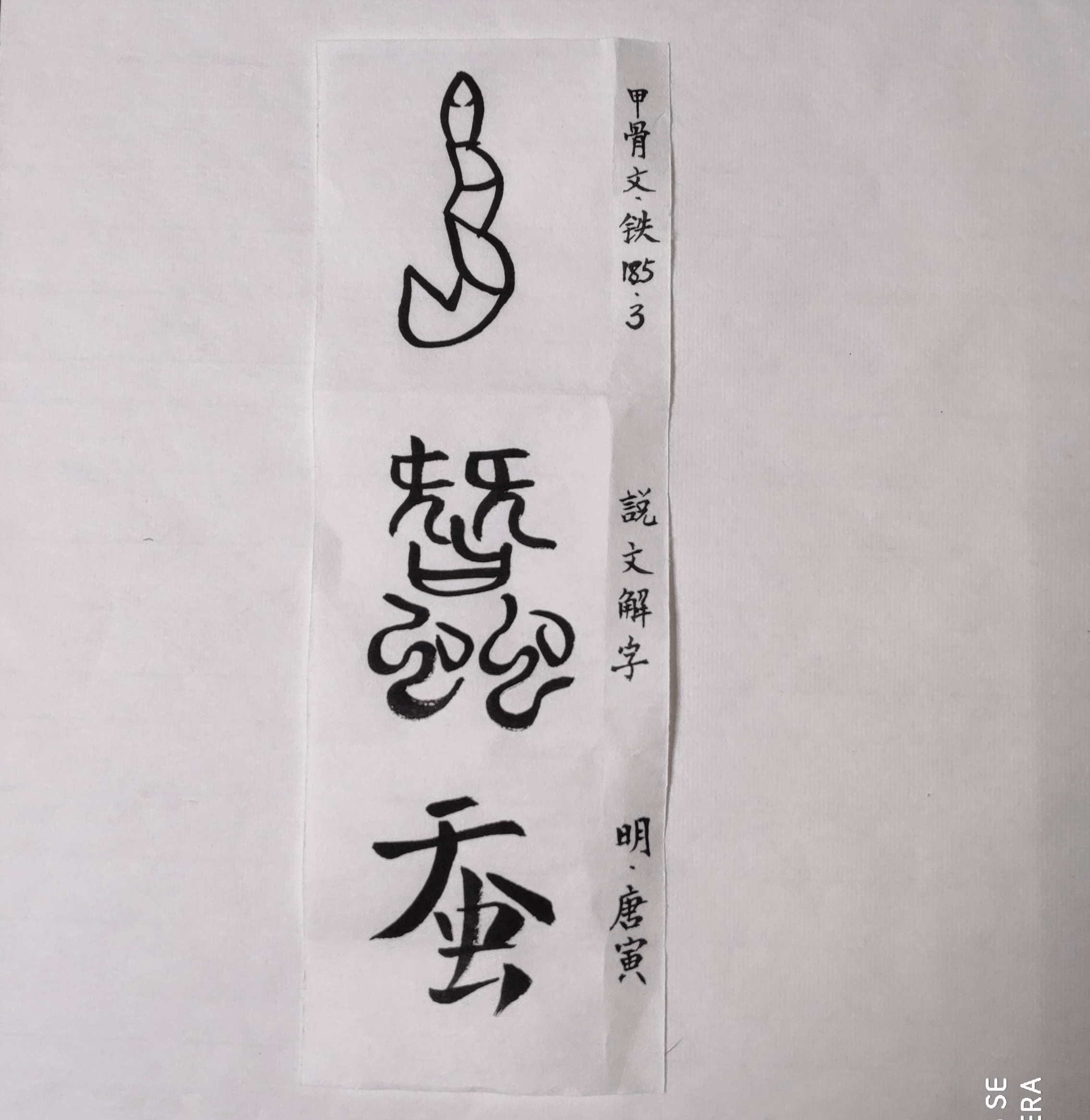 蚕,甲骨文象形为蚕虫的直观形象,说明养蚕结丝在上古时代就已经存在