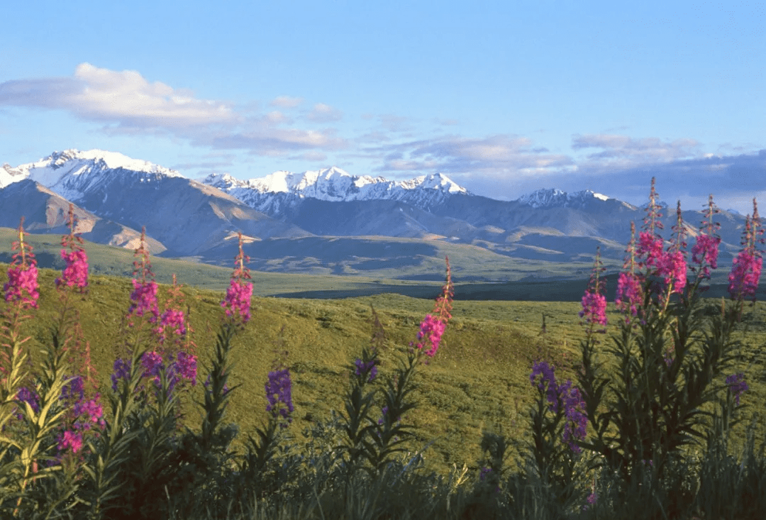 原创大自然的神奇风景美图赏析