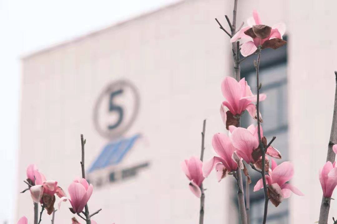 航空大学排行榜_中国航天航空类大学排名,北航第一南航第二,还有这几所实力不差